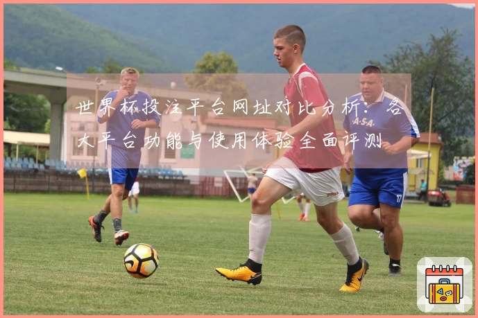 世界杯投注平台网址对比分析：各大平台功能与使用体验全面评测