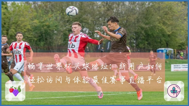 畅享世界杯买球地址：新用户如何轻松访问与体验最佳赛事直播平台