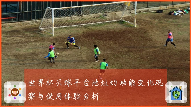世界杯买球平台地址的功能变化观察与使用体验分析