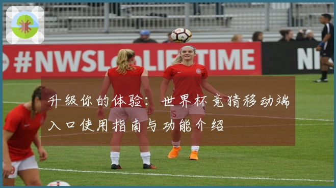 升级你的体验：世界杯竞猜移动端入口使用指南与功能介绍