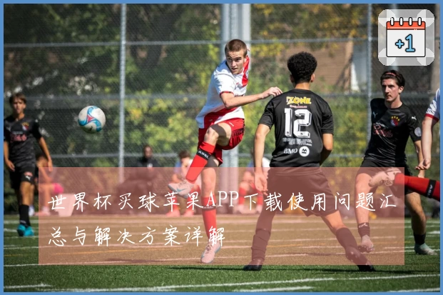 世界杯买球苹果APP下载使用问题汇总与解决方案详解