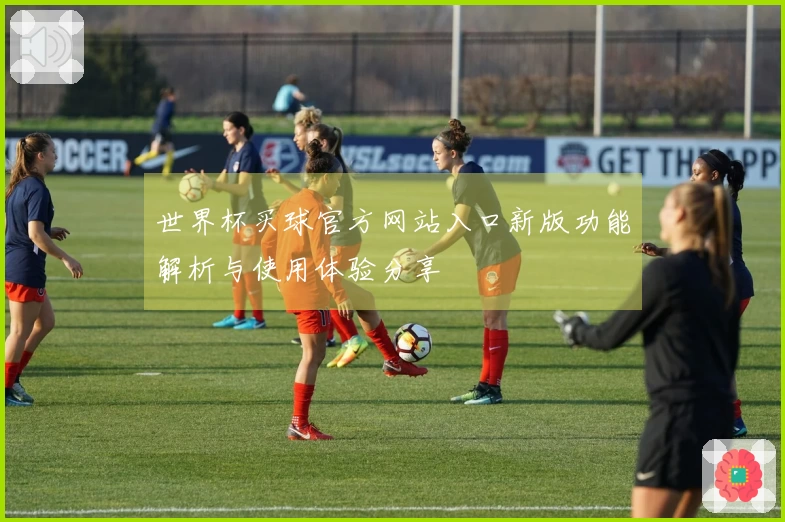 世界杯买球官方网站入口新版功能解析与使用体验分享